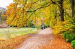 Dutch Autumn Landscape With Footpath And Beech Trees Stock Photo