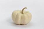 White Mini Pumpkin Stock Photo