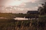 Cottage At Pond With The Natural Stock Photo