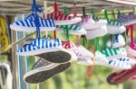 Sneakers   Shoes Multicolored Stock Photo