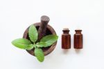 Holy Basil Essential Oil With  Fresh Leaves Stock Photo