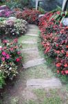 Wooden Path Walk In Public Garden Stock Photo