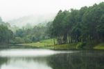 Nature Landscape At Morning Of Lakes And Pine Forests Stock Photo