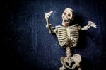 Human Skeleton Stock Photo