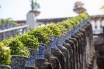 Trees Pot On Side Way Walk Of Phra Nakhon Khiri Historical Park Stock Photo