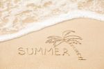 Inscription Of The Word Summer And Palm Tree Drawing On Wet Yell Stock Photo