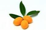 Mayongchid , Mayongchit Marian Plum, Gandaria, Plum Mango Stock Photo