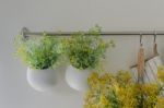 Bowl Of Plants Hang On Bar Rail Stock Photo