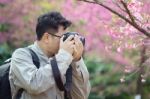 Cameraman Stock Photo