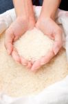 Handful Of Uncooked Rice Stock Photo