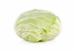 Cabbage Isolated On White Background Stock Photo