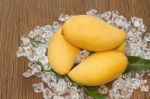 Fresh Golden Mango Stock Photo