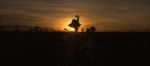 Cotton Field In Oakey, Queensland Stock Photo