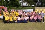 Bangkok, Thailand - Nov 2016: In The Nov 23, 2016. Youth Tug Of War, In Pieamsuwan Elementary School Stock Photo