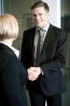 Partners Giving A Handshake Stock Photo