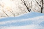 Fresh Snow Cover,winter Background Stock Photo