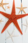 Starfish On White Wood Stock Photo