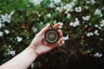 Hand Holding A Stopwatch/watch Stock Photo