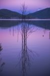 Hinze Dam At Dusk Stock Photo