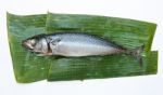 Steamed Mackerel Stock Photo