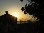 Sunset With Pavilion And Flowers Stock Photo