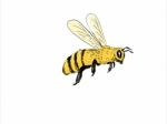 Bee Flying To Side Color Drawing Stock Photo