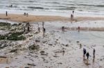 Birling Gap, East Sussex/uk - August 15 : The Brits At Play On T Stock Photo