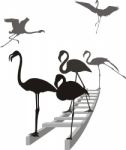 Flamingos On The Ladder In Grayscale Stock Photo