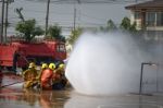 Fireman. Firefighters Fighting Fire During Training Stock Photo