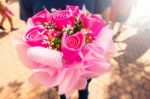 Close Up Person Holding Or Giving Bouquet Of Roses Flowers Stock Photo