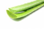 Aloe Vera Leaves Isolated Stock Photo