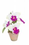 Artificial Cattleya Orchid Flowers Stock Photo