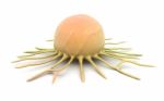 Cancer Cell Stock Photo