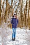 Young Beautiful Woman In The Woods In Winter Stock Photo