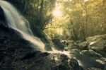 Kondalilla Falls In Kondalilla Falls National Park Stock Photo