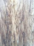 Wood Texture Stock Photo