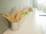 Simply Plant Bucket Decorated On Counter Stock Photo