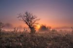 Misty Spring Sunrise Stock Photo