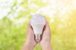 Led Lighting Bulb In Hands Stock Photo