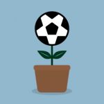 Soccer Ball Flower Plant In Pot Stock Photo