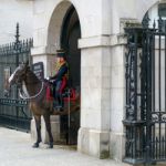 London - July 30 : Kings Troop Royal Horse Artillery In Whitehal Stock Photo