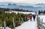 People Walking On The Alp In Rinderplatz Pasture In South Tyrol Stock Photo