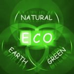 Eco On Blackboard Displays Environmental Care Or Eco-friendly Na Stock Photo