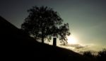 Silhouette Of A Monument Next To A Tree Stock Photo