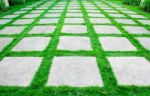 Green Grass Growth Between Cement Walkway Stock Photo