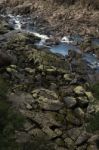 Cataract Gorge During The Day Stock Photo