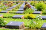 Kanchanaburi War Cemetery (don Rak) Stock Photo