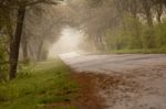 Road In The Mist Stock Photo