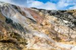 Mammoth Hot Springs Stock Photo