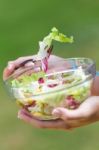 Beautiful Young Woman Holding Green Salad, Outdoors Stock Photo